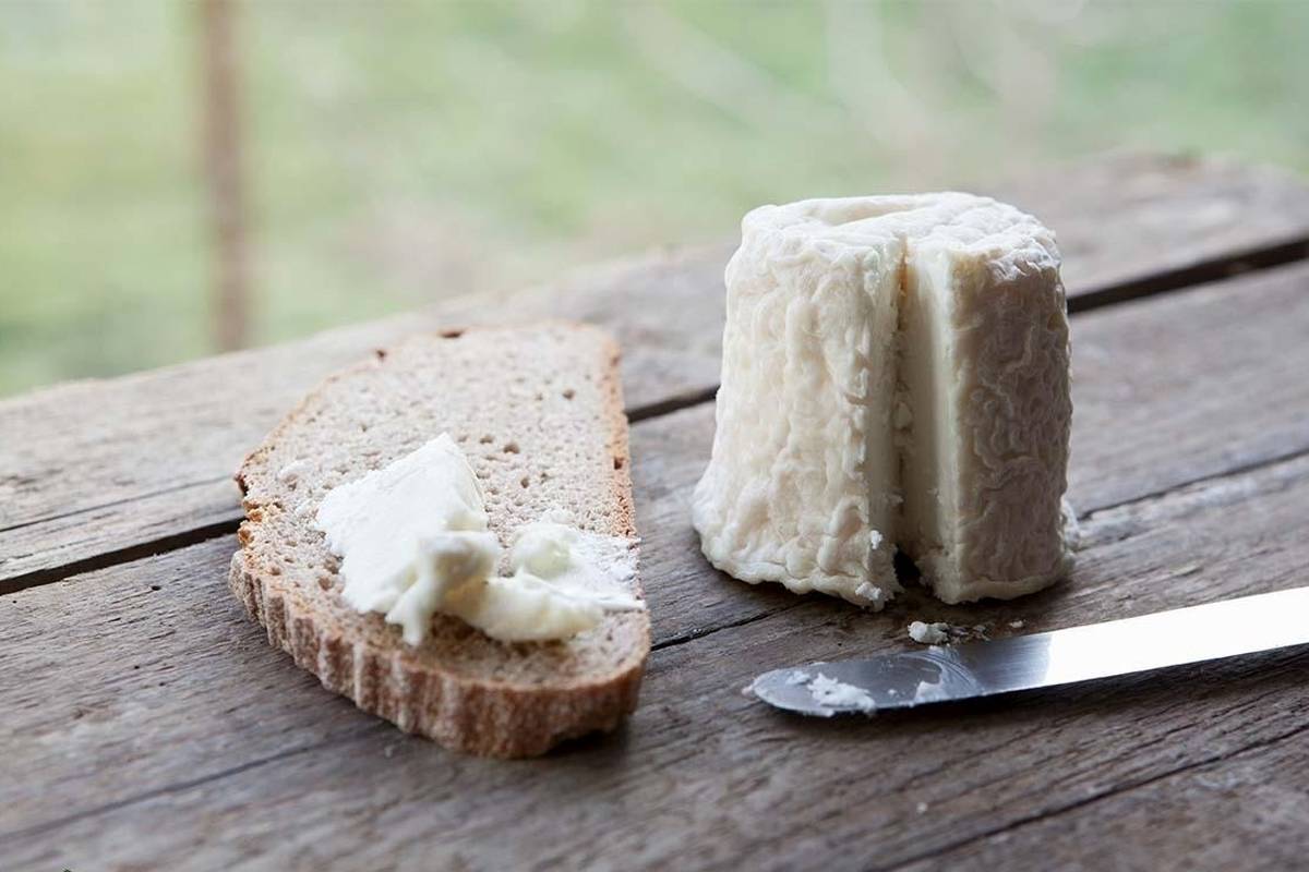 پنیر با شیر الاغ؟ ماجرای پنیرهای گرانقیمت با شیر الاغ