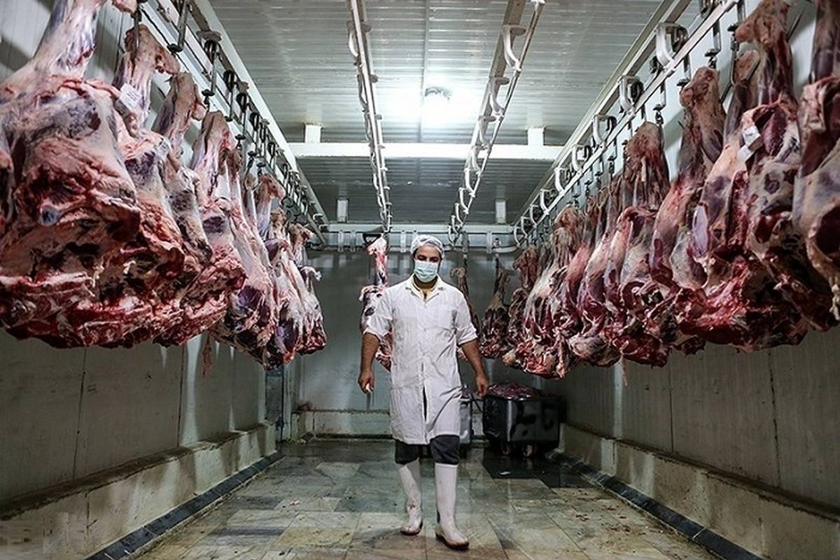 قیمت گوشت قرمز، امروز دوشنبه ۱۵ مرداد ۱۴۰۳
