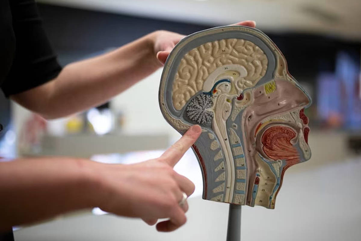 ضربه مغزی چیست و چه علائمی دارد؟