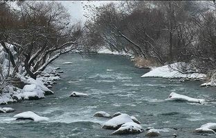  رودخانه کرج یخ زد + ویدئو