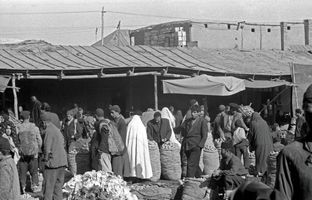 سفر به تهران قدیم؛ مرد تهرانی بخاطر حمله شپش‌ها کشته شد! + تصویر
