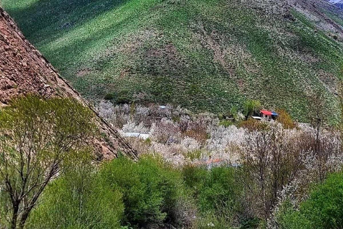 راهنمای سفر: طبیعت زیبا و بهاری روستای آهار شمیرانات + عکس