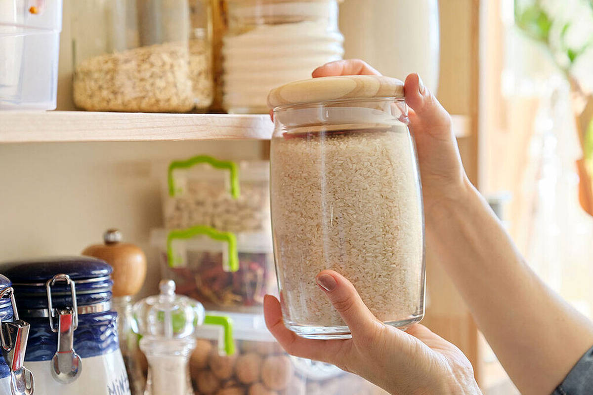 شمالی ها برنج خام را چطور نگهداری میکنند که خراب نمیشود؟