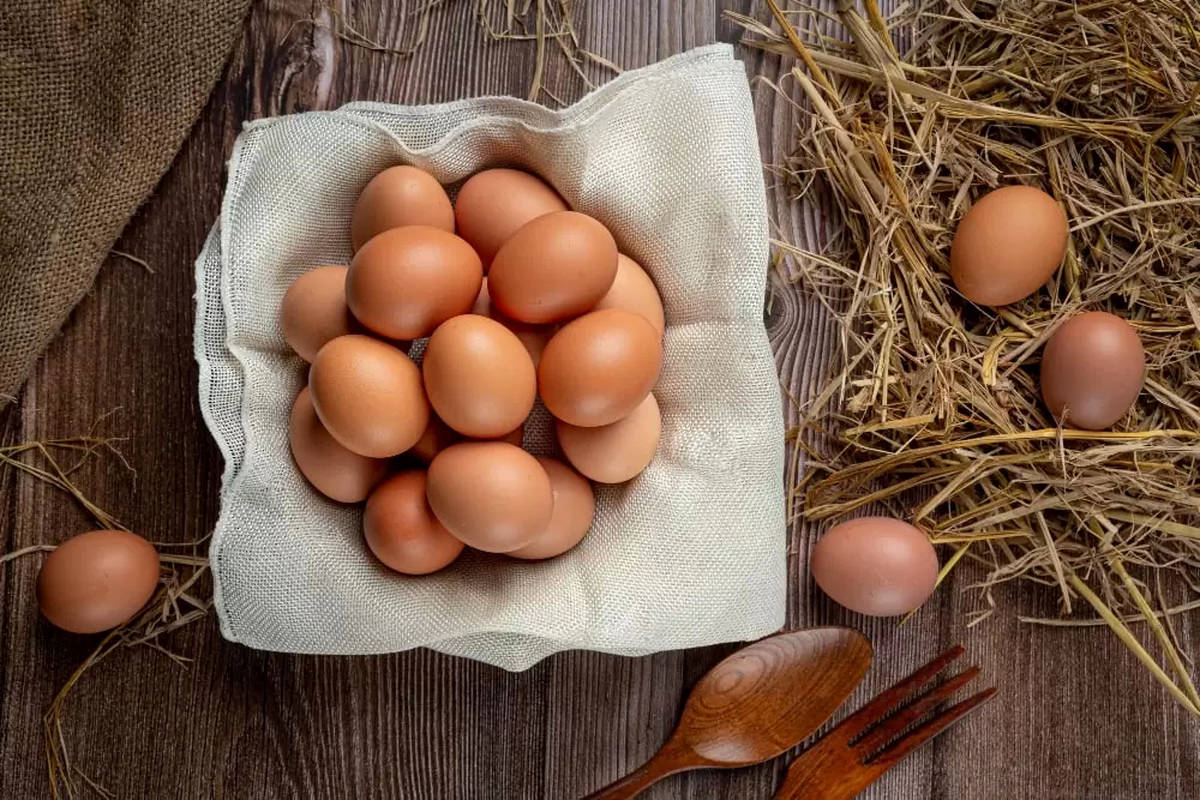 زیادهروی در مصرف تخممرغ چه پیامدهای زیانباری دارد؟