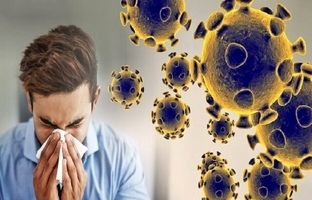 شایع‌ترین انواع ویروس‌های آنفلوآنزا