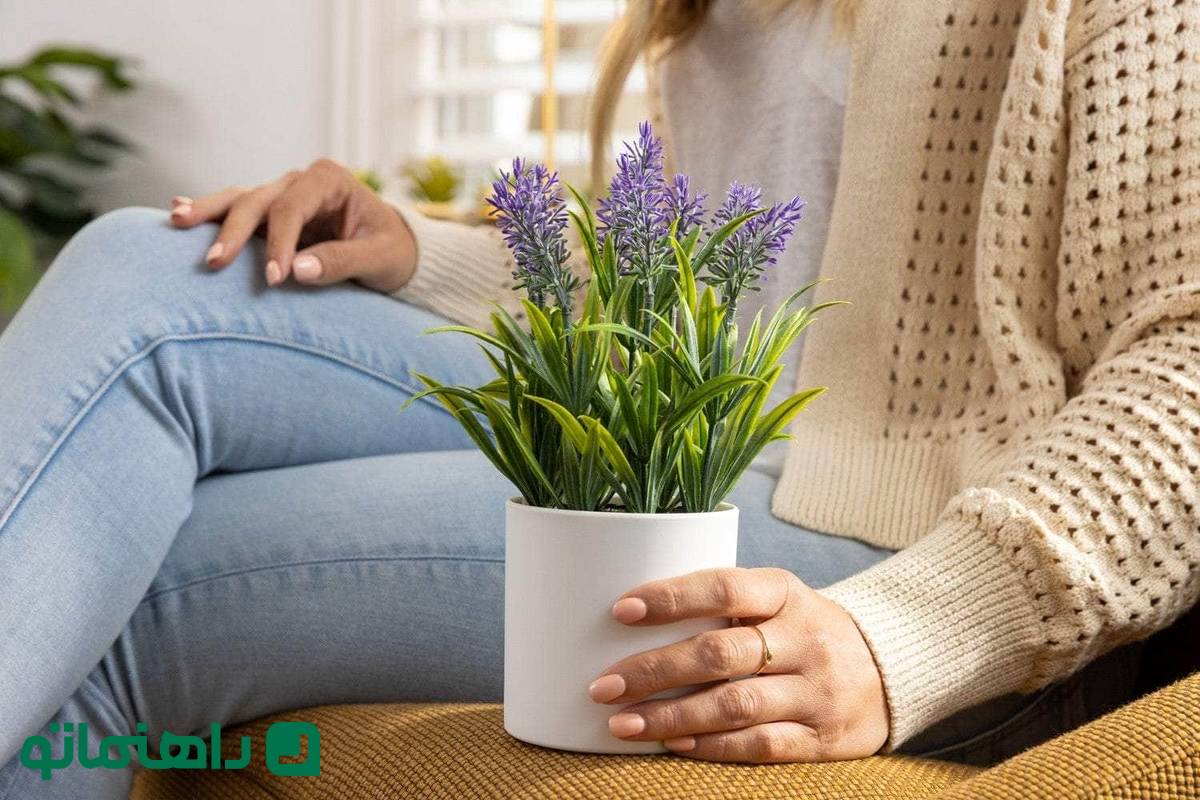 گیاهی که نمیدانستید خواب راحت و عشق را با هم به خانه میآورد