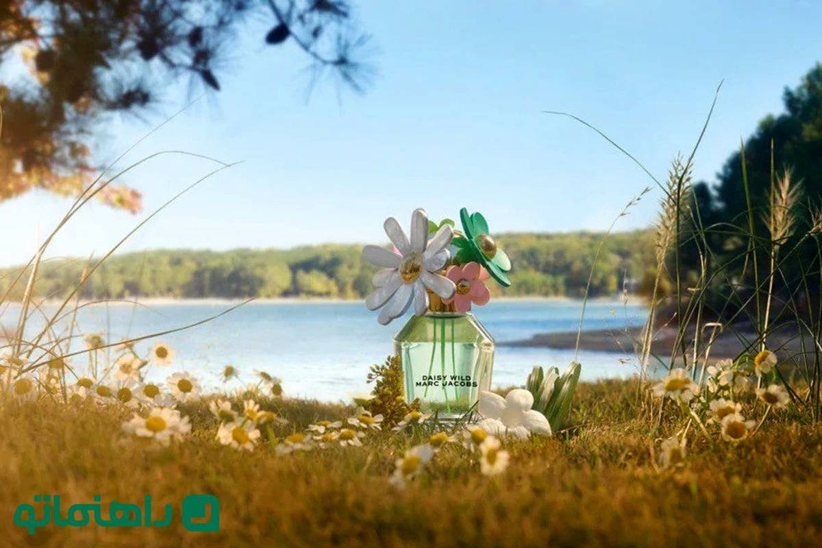 هزینه خوشبو بودن در بهار 1404؛ عطرهای زنانه و مردانه مناسب بهار چند؟