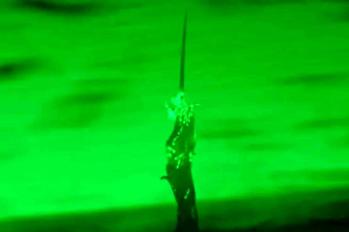 دیده شدن «برج‌های زنده» ساخته‌شده از کرم‌ها در طبیعت