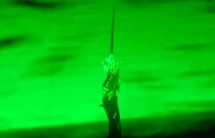 دیده شدن «برج‌های زنده» ساخته‌شده از کرم‌ها در طبیعت