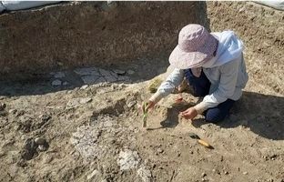 کشف شواهدی از پخت اولیه گچ در غرب ایران
