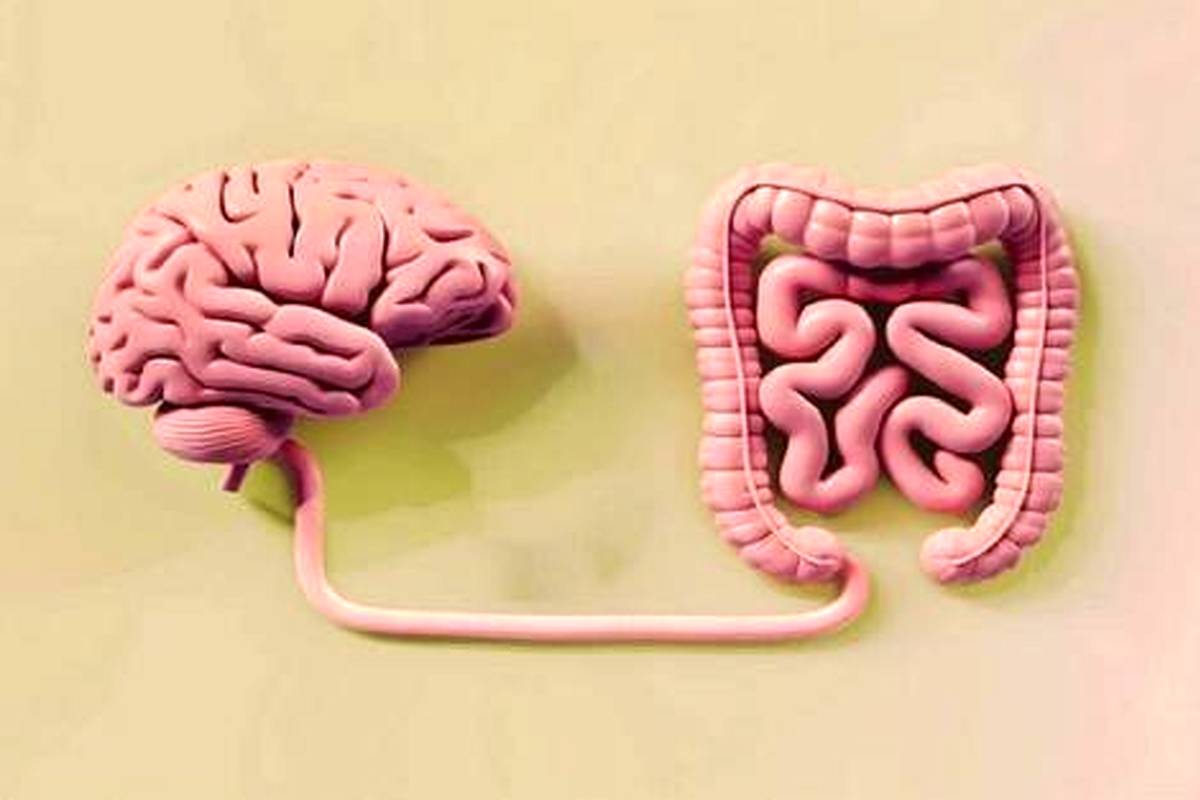 وقتی میکروبها جایگزین داروهای ضد اضطراب میشوند!