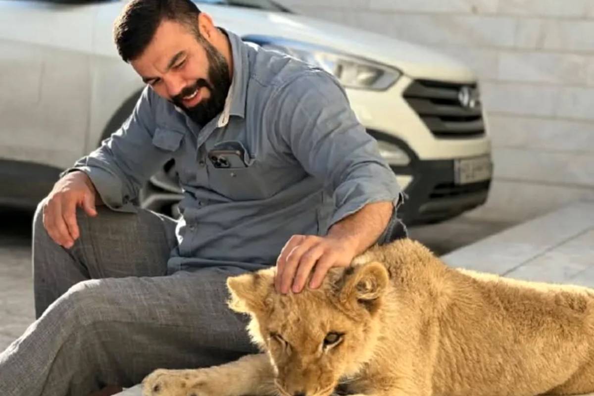 دردسرهای نگهداری توله شیر توسط علیاکبری؛ دادگاه وارد میشود