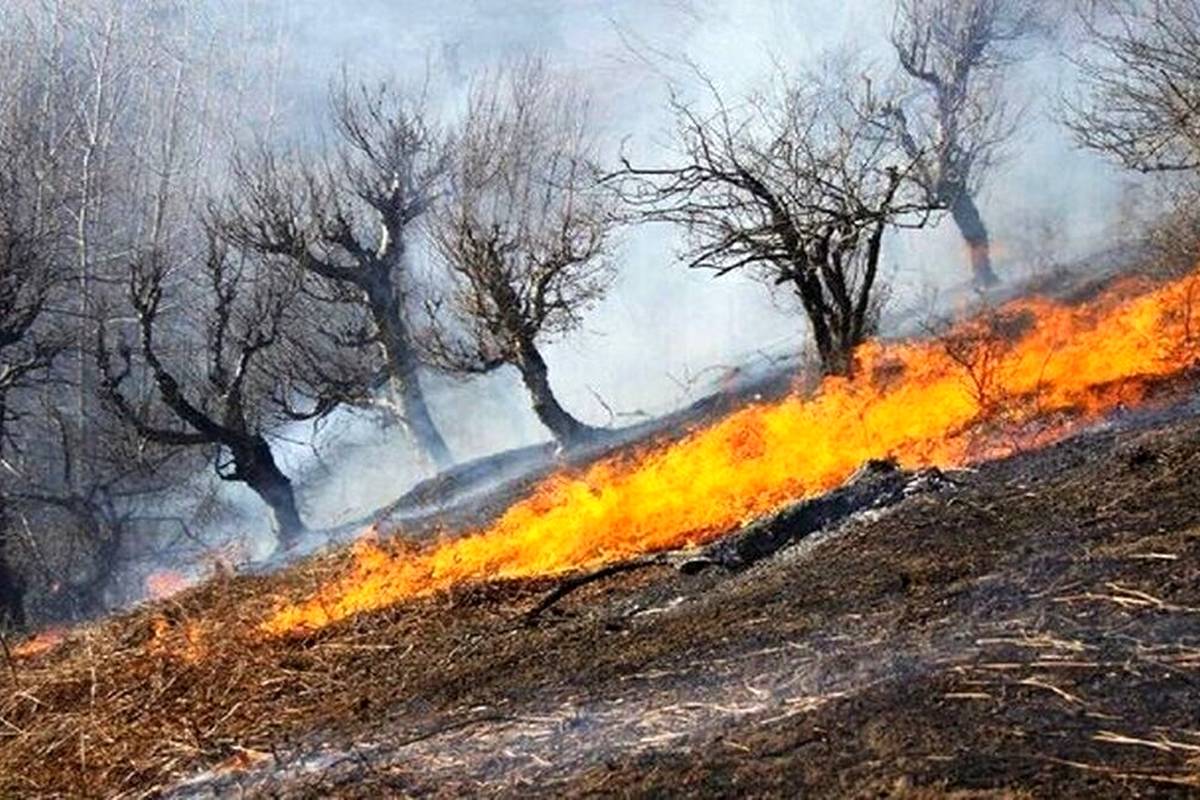 ۵ هکتار از جنگلهای رودبار در آتش سوخت