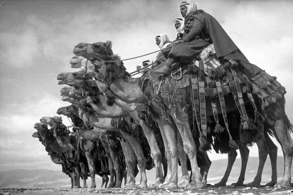 گالری