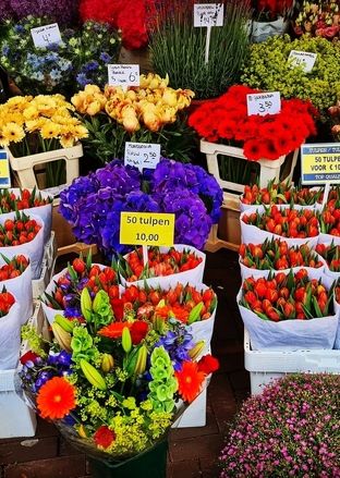 بهترین بازارهای گل و گیاه تهران کجاست؟