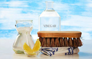 خانه‌تکانی با مواد طبیعی و ارگانیک/ اگر به شوینده‌های شیمیایی حساسیت دارید...