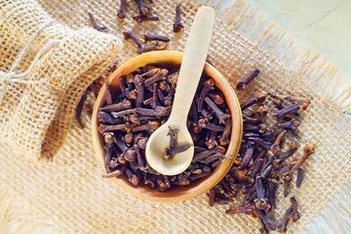 یک گیاه معطر با ۴ فایده شگفتانگیز