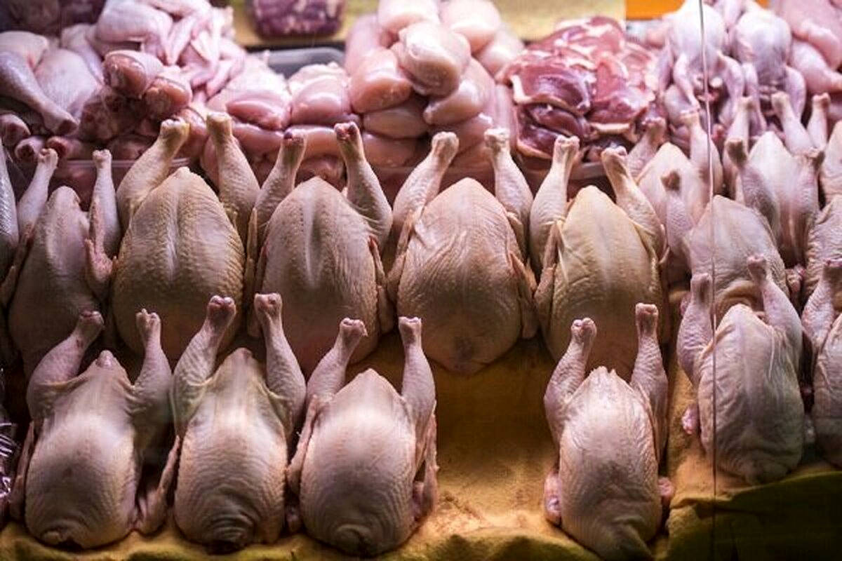 راهنمای بازار؛ قیمت گوشت مرغ، امروز ۱ اردیبهشت ۱۴۰۴