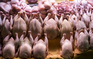 راهنمای بازار؛ قیمت گوشت مرغ، امروز ۳ خرداد ۱۴۰۴
