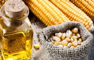 قند فروکتوز در پیشرفت سرطان نقش دارد؟