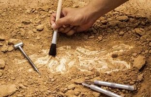 کشف آثاری با نمادهای تاریخی در پالایشگاه بیدبلند بهبهان