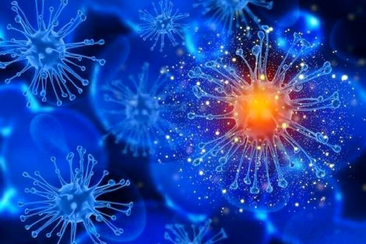 چرا سیستم ایمنی بدن ضعیف میشود؟