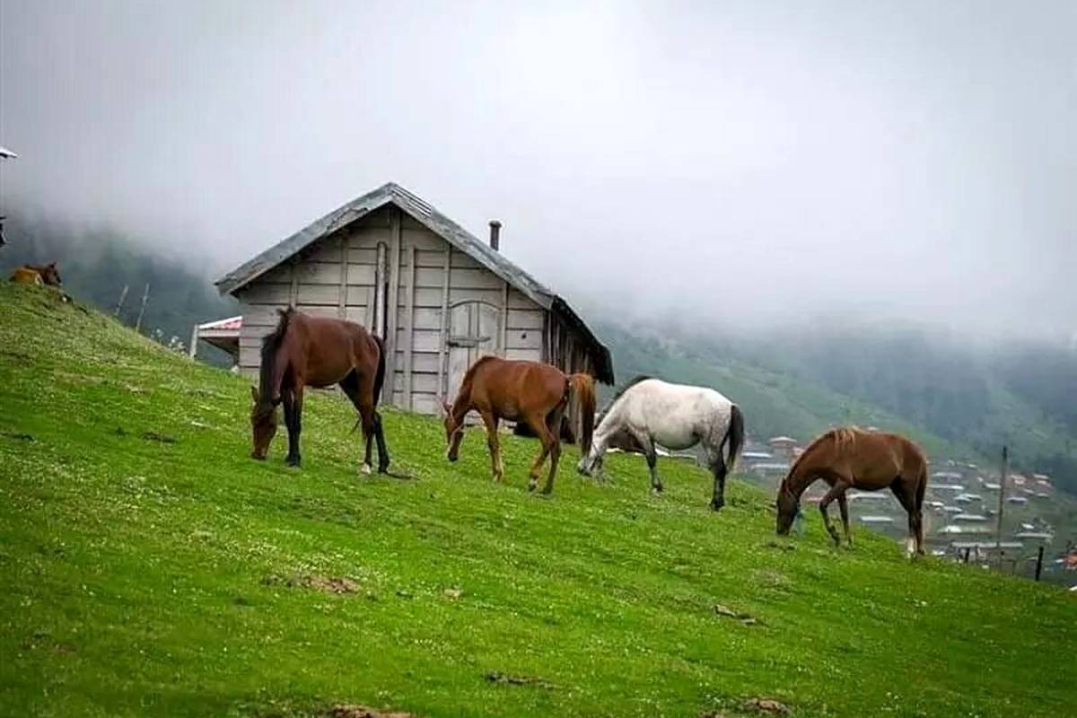 منطقه خنک گیلان در تابستان را بشناسید | بهترین زمان سفر به ماسال + تصاویر
