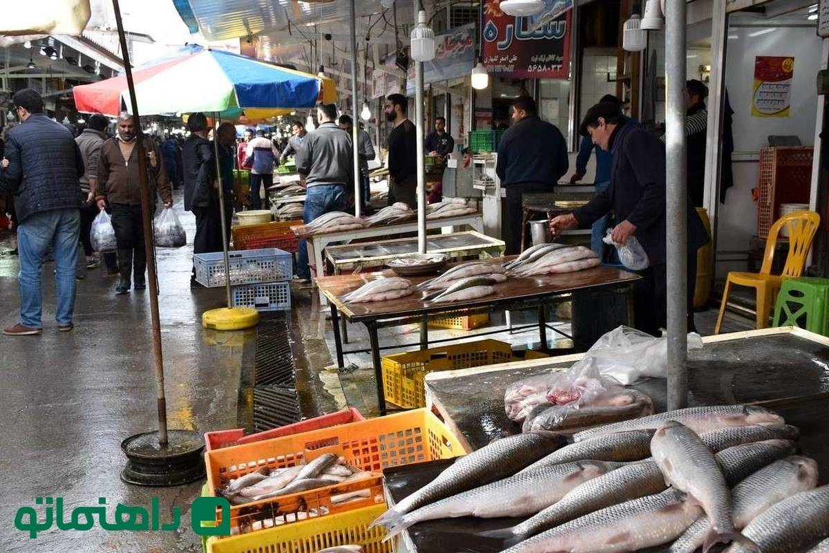 بهترین بازارهای ماهی گیلان کجاست؟