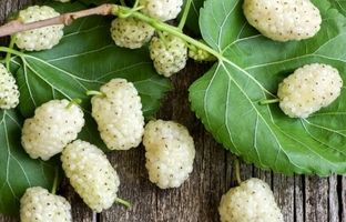 خوردن این میوه برابر است با یک داروی ضدافسردگی!