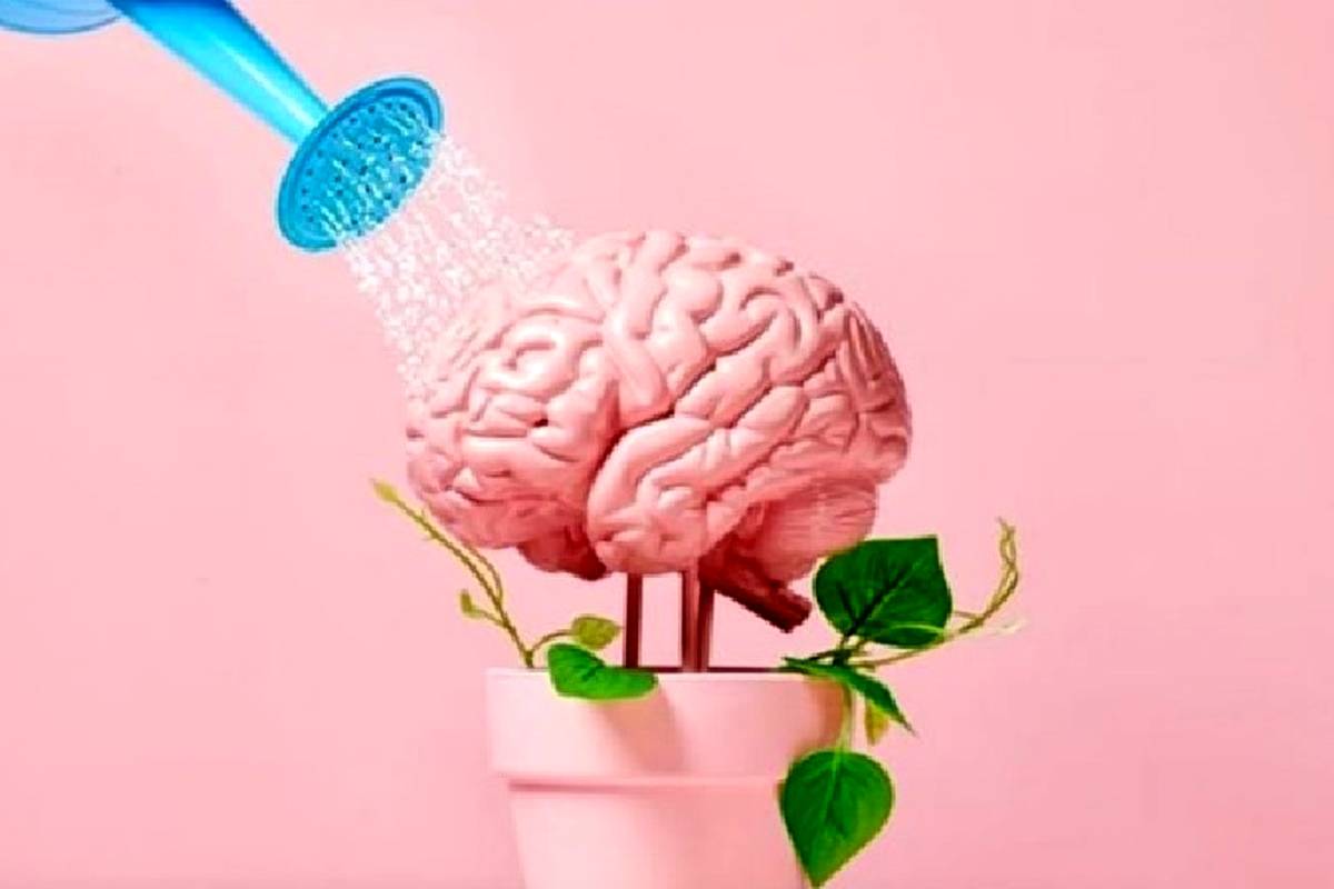 یک معمای به ظاهر ساده، ترکیبی از خلاقیت، مهارت ریاضی و دید قوی