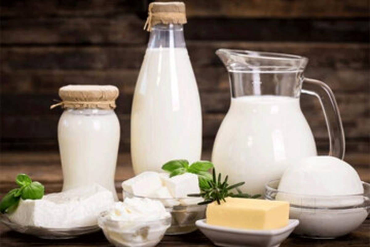 میزان آسیبزایی شیرهای هورمونی و آنتیبیوتیکی/ کدام شیر هورمون کمتری دارد؟