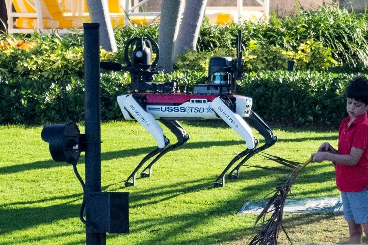 چرا سگهای رباتیک در اقامتگاه ترامپ گشتزنی میکنند؟ + عکس