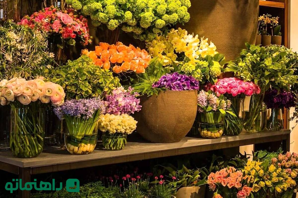 بهترین بازارهای گل تهران برای خرید گل‌های بهاری