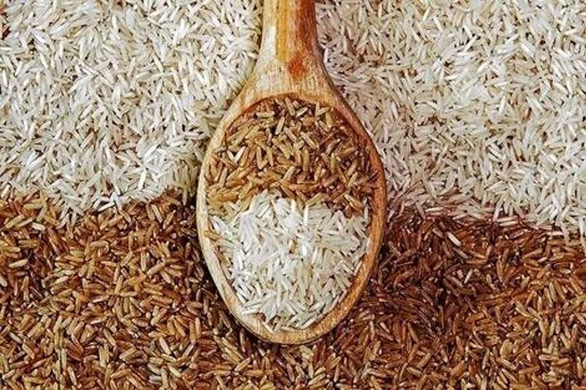 تفاوت برنج سفید و قهوهای؛ ارزش غذایی کدام بیشتر است؟
