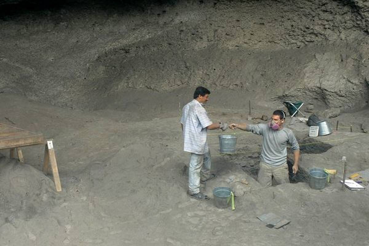 انسان برای اولین بار کی آووکادو خورد؟