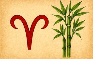 گیاهی که خیر و برکت رو به خونه فروردین ماهی‌ها میاره!