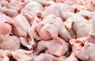 راهنمای بازار؛ گوشت و مرغ در سال ۱۴۰۴ گران می‌شود؟!