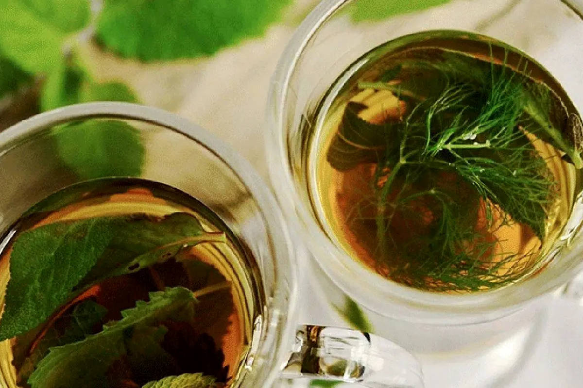  چای برگ انجیر؛ فواید و طرز تهیه آن 