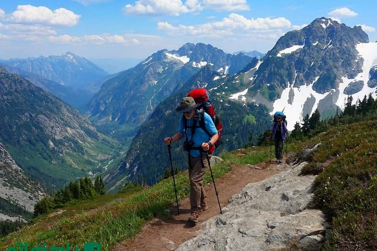 خنک‌ترین مسیرهای کوهنوردی تهران؛ صعود به بهار در دل تابستان