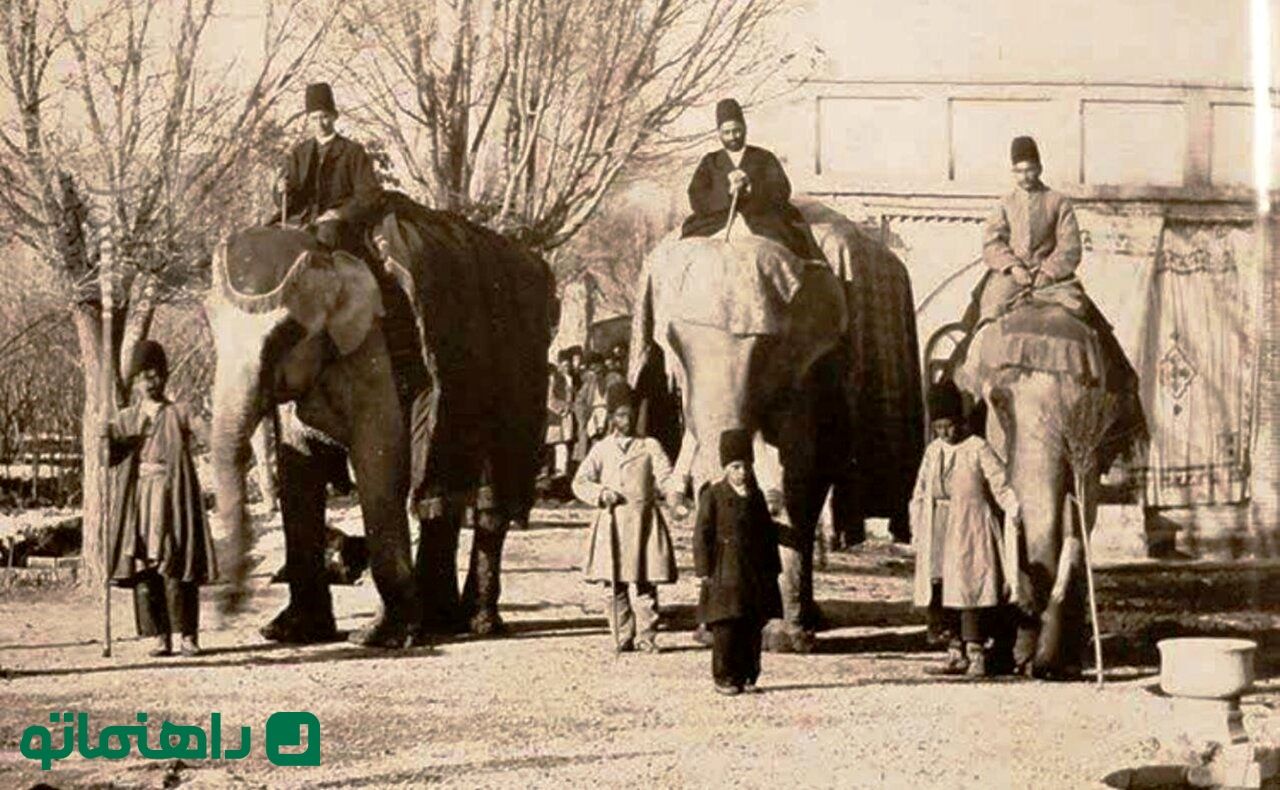 فیل جنگی ارتش ناصرالدین شاه قاجار + عکس