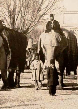 فیل جنگی ارتش ناصرالدین شاه قاجار + عکس