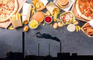 
این غذاها در روز‌های آلوده، ممنوع
