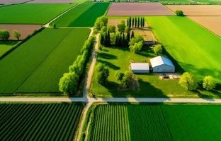 چرا دانمارک زمین‌های کشاورزی را به جنگل تبدیل می‌کند؟