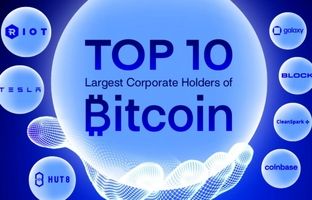 ۱۰ شرکت بزرگ که بیشترین سرمایه‌گذاری را در بیت‌کوین انجام داده‌اند + اینفوگرافی
