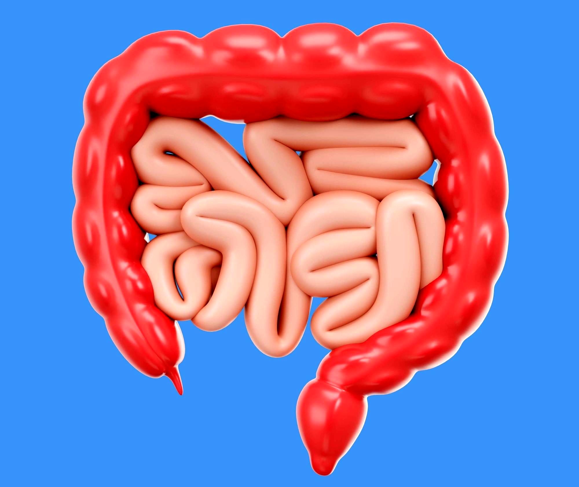  عواملی که منجر به بروز سرطان‌های گوارشی می‌شود 