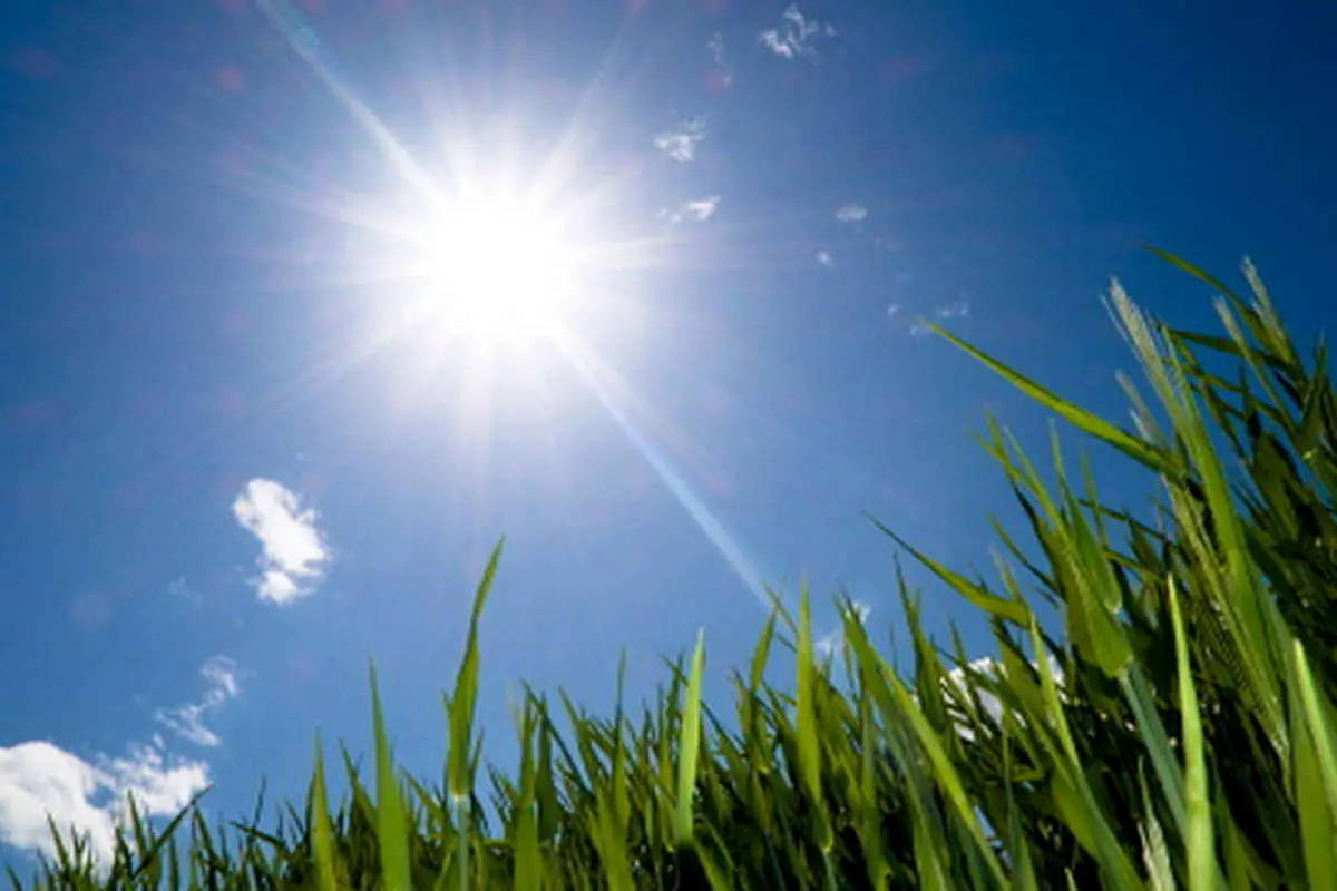 وضعیت آب و ها تهران امروز یکشنبه 29 تیر