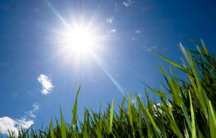 وضعیت آب و ها تهران امروز یکشنبه 29 تیر