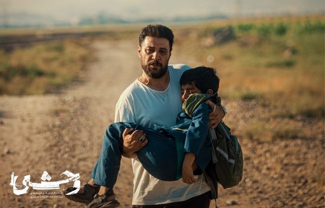 صحبت‌های هومن سیدی درباره سریال «وحشی» | روایتی شخصی از یک پرونده واقعی با چهار فصل داستان‌پردازی