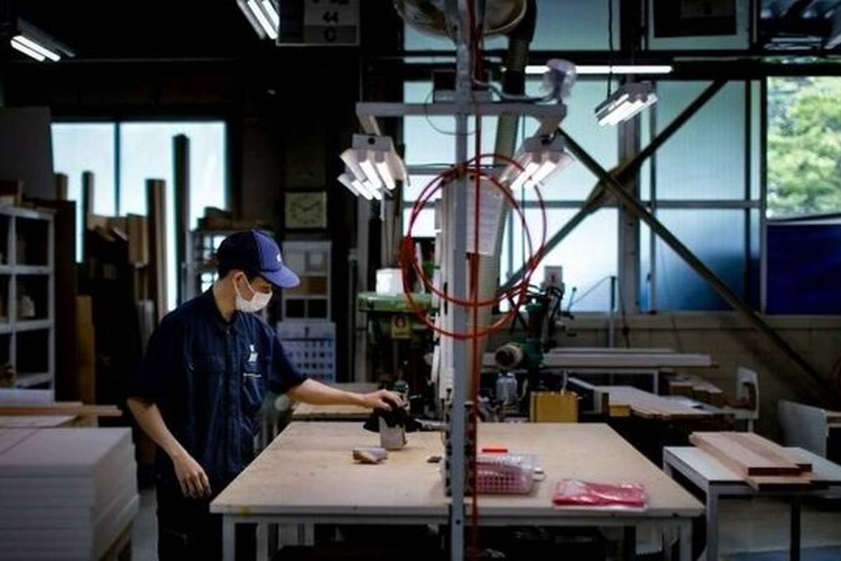 بیشترین فرصتهای شغلی ژاپن در کدام بخش است؟