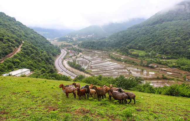 سفر یک روزه به کجای مازندران برویم ؟ سفر به زیراب سوادکوه